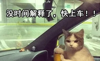 正确使用Instagram，成为B2B网红不是梦！